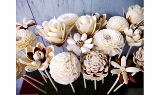 Sola wood flower