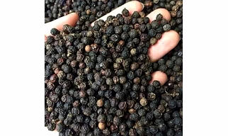 Black Pepper