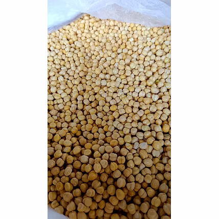 Roasted Gramm (chana) without skin-12519884