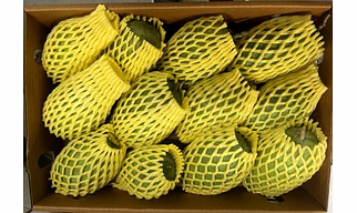KESAR MANGO