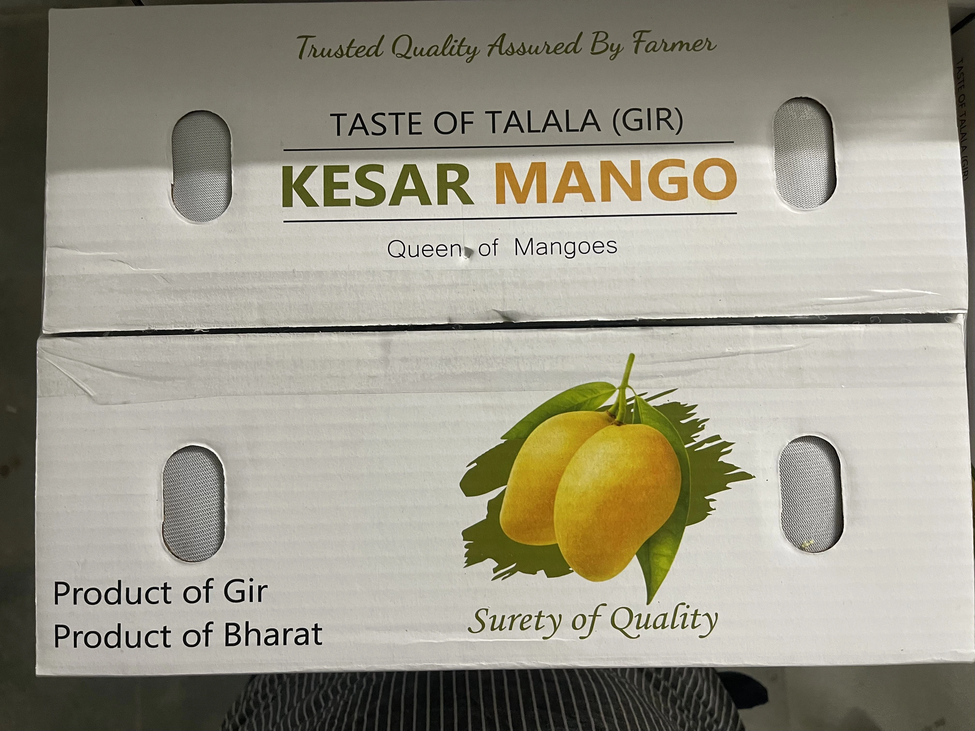 KESAR MANGO-3