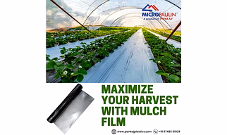 MULCHING FILM-SILVER BLACK