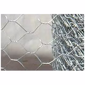 CHICKEN MESH