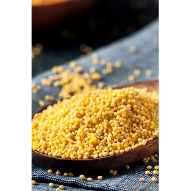 MILLET