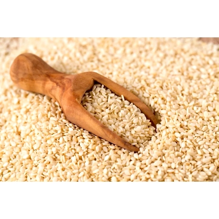 SESAME SEEDS-12504004