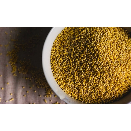 MILLET-3
