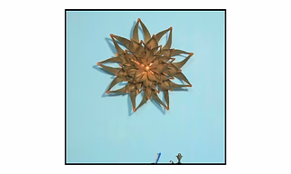 Star Flowers Wall Decor