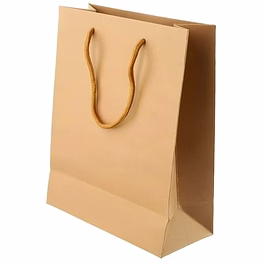 shyook paper bags