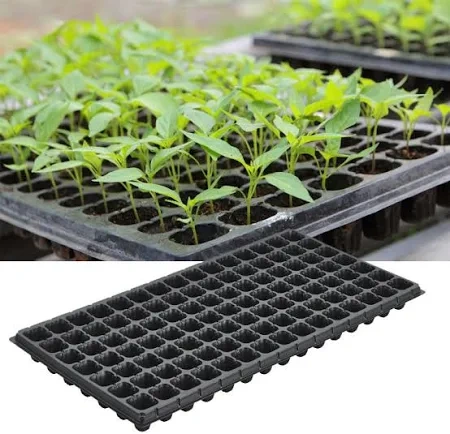 seeding tray /-1