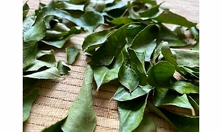 Premium Sun (Solar) Dried Curry Leaves Powder / Leaves