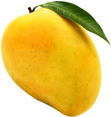 Alphonso Mango Pulp-12514466