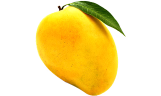 Alphonso Mango Pulp