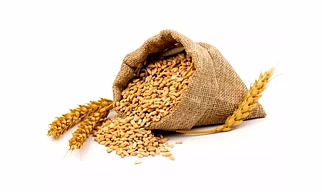 Wheat & Wheat Flour