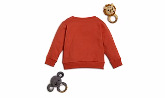 bontots Organic Cotton Baby Sweatshirt & Joggers Set – Wild Pals Crewneck & Speed Racer Joggers, Soft & Rash-Free (Rust)