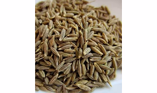 Cumin Seed Zeera