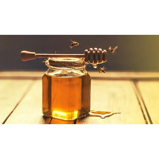 Unprocessed Raw Wild Honey of Western Ghats India