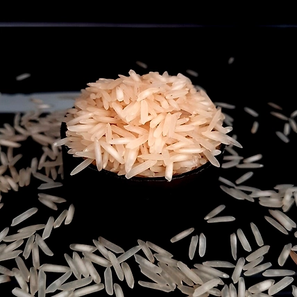 1121 Resort Basmati Rice - Export Quality-2