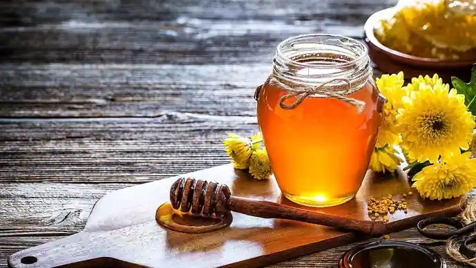 Unprocessed Raw Wild Honey of Western Ghats India-2