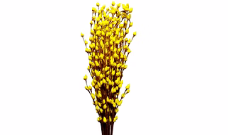 Artificial Dry flowers handicrafts