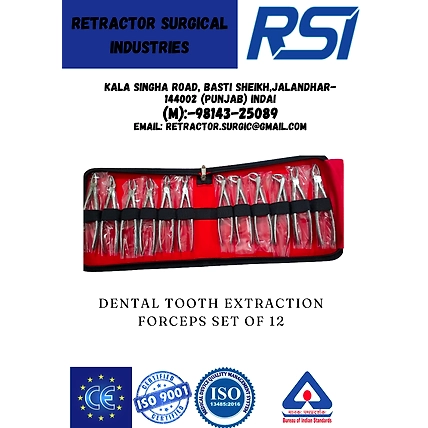 DENTAL TOOTH EXTRACTION FORCEPS (RONGUER) SET OF 12-1