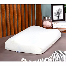 rexsleep memory pillows
