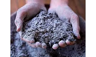 Wood Ash 100% Organic Fertilizer