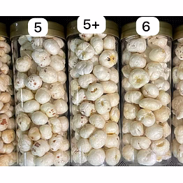 raw green premium raw makhana