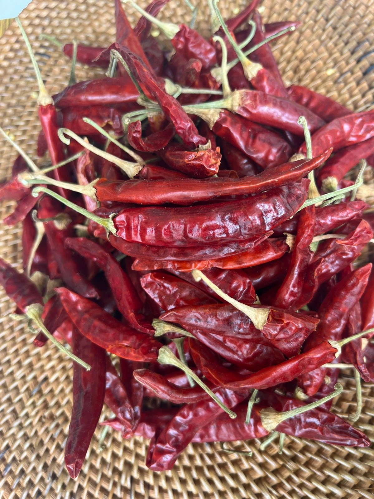 Dry Red Chili-1