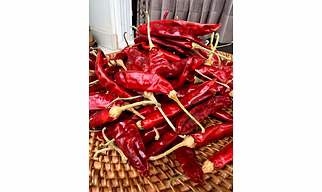 Dry Red Chili