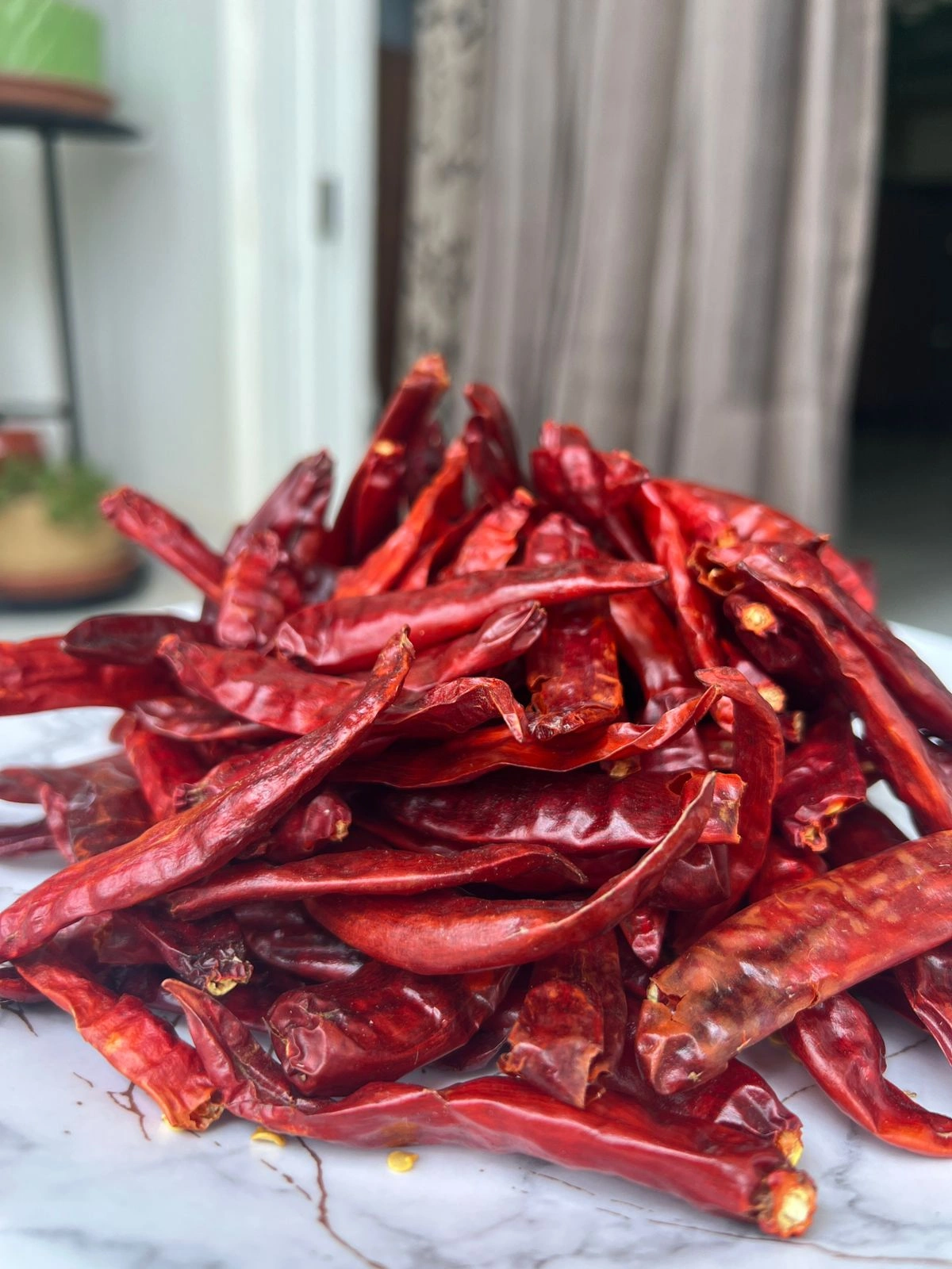 Dry Red Chili-2