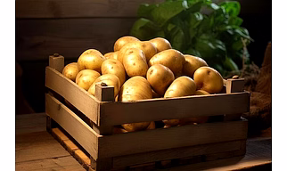 POTATO