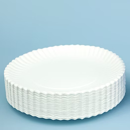 plastic plate