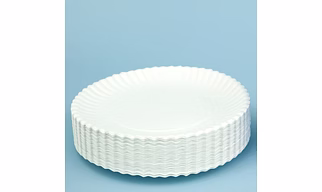 PLASTIC PLATE