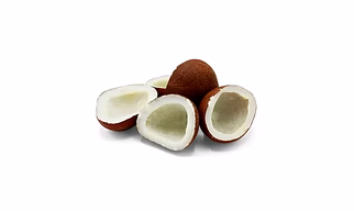 DRY COCONUT