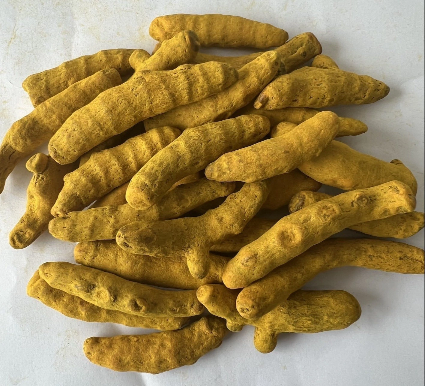 Rajapuri Turmeric Finger-1