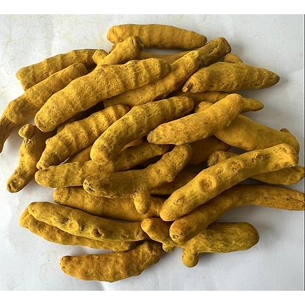 Rajapuri Turmeric Finger-1