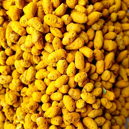 Turmeric Bulb-1