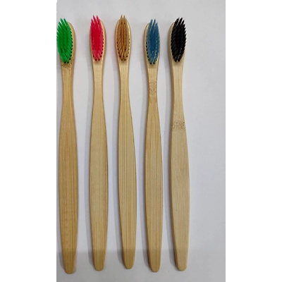 Tooth Brush-1