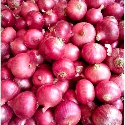 Nashik Red Onion-4