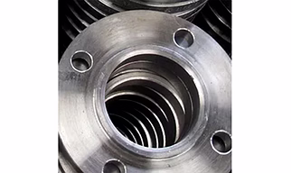 Hastelloy Flanges