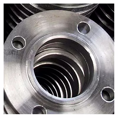 hastelloy flanges