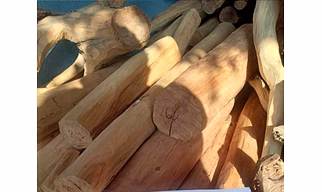 pure natural sandalwood