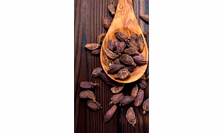 Black Elaichi/Big Cardamom