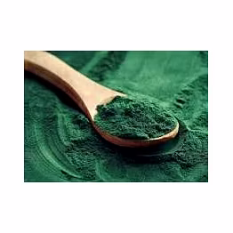The Conscious Appetite Spirulina Powder