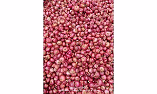 Onions