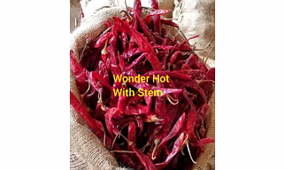 Dry Red Chillies