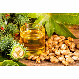 kavya castor oil fsg