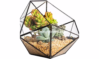 Metal terrarium