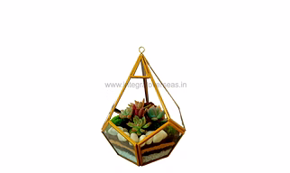 metal planter hanging terrarium
