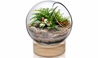glass planter